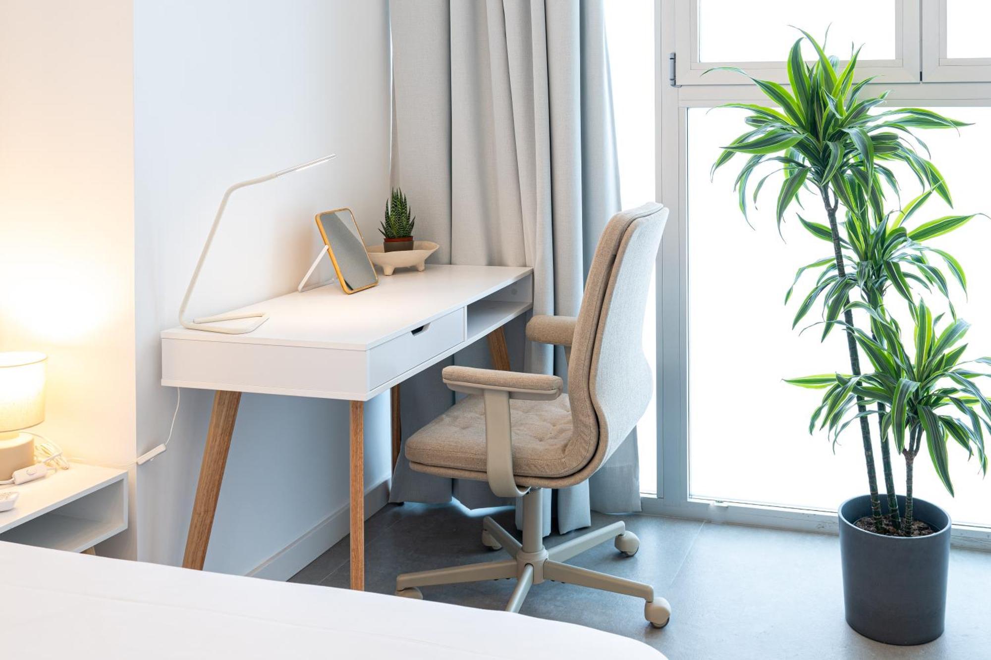 Main Lofts Valencia Daire Dış mekan fotoğraf